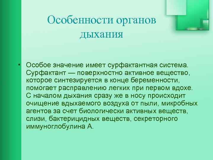 Особенности органов дыхания • Особое значение имеет сурфактантная система. Сурфактант — поверхностно активное вещество,