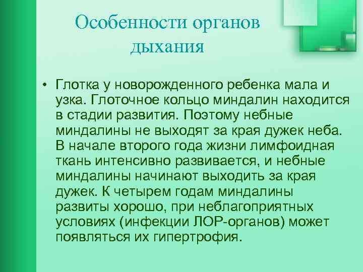 Особенности органов дыхания • Глотка у новорожденного ребенка мала и узка. Глоточное кольцо миндалин