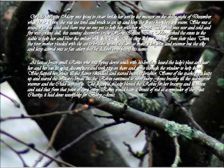  While Virgin Mary was lying in straw beside her son in the manger