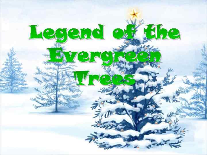Legend of the Evergreen Trees 