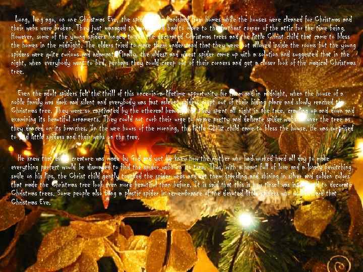 Long, long ago, on one Christmas Eve, the spiders were banished from homes while