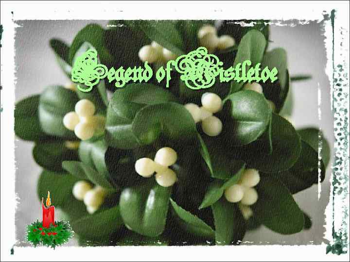 Legend of Mistletoe 