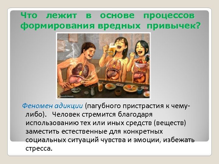 Что лежит в основе процессов формирования вредных привычек? Феномен адикции (пагубного пристрастия к чемулибо).