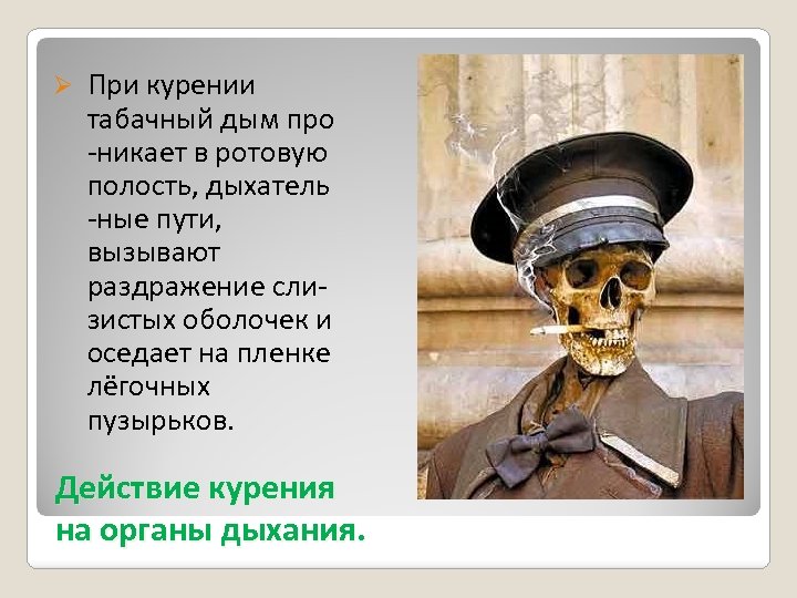Ø При курении табачный дым про -никает в ротовую полость, дыхатель -ные пути, вызывают