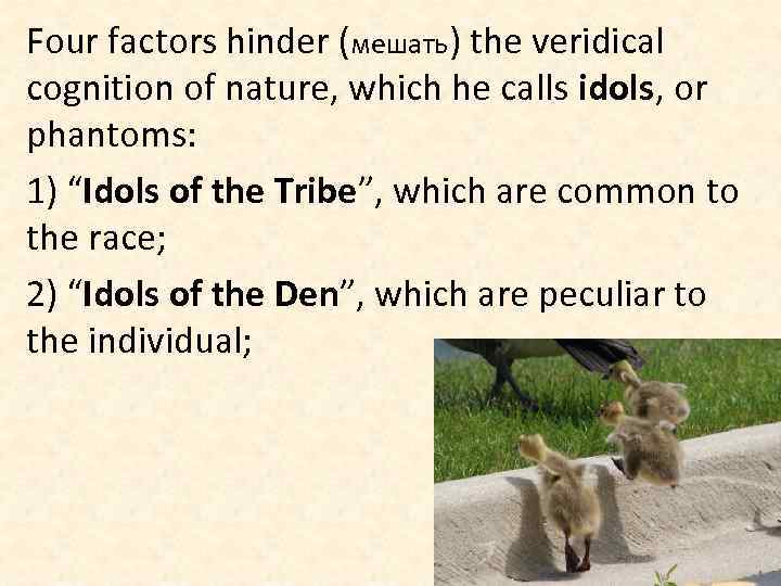 Four factors hinder (мешать) the veridical cognition of nature, which he calls idols, or