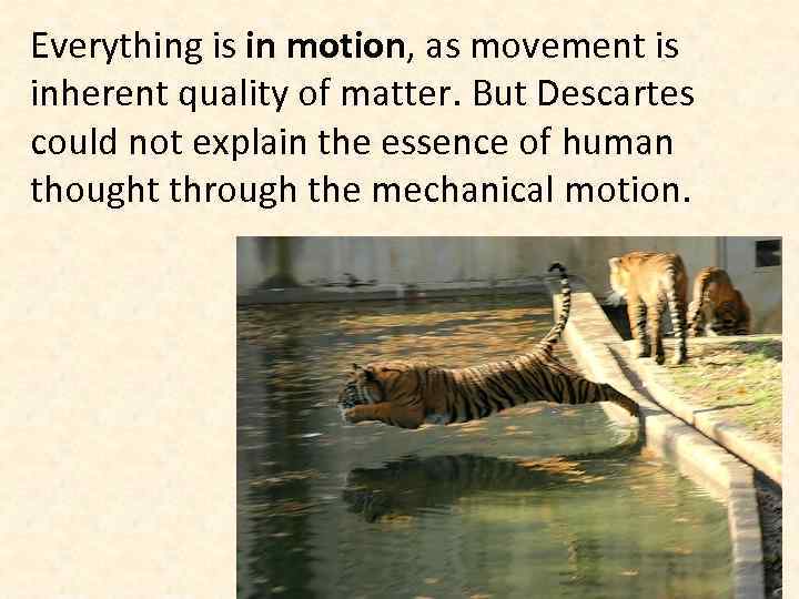 Everything is in motion, as movement is inherent quality of matter. But Descartes could