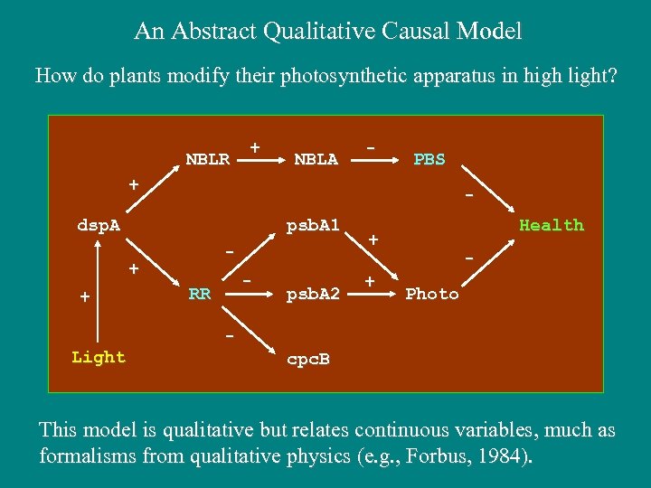 An Abstract Qualitative Causal Model How do plants modify their photosynthetic apparatus in high