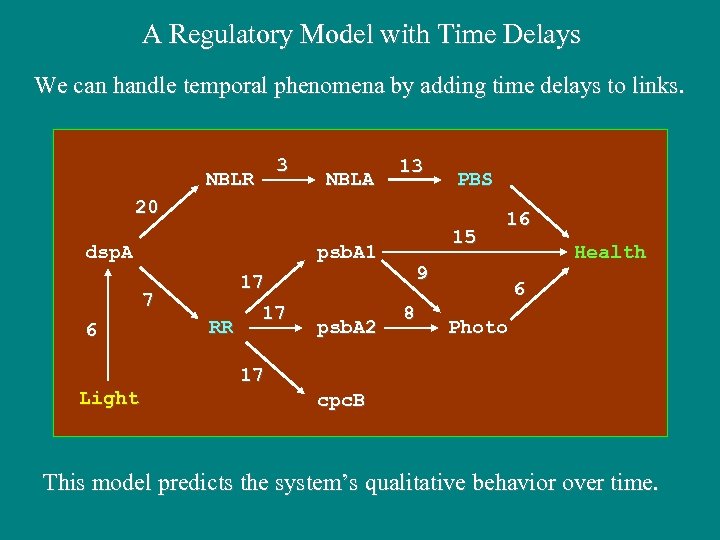 A Regulatory Model with Time Delays We can handle temporal phenomena by adding time