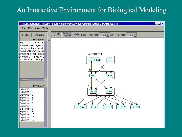 An Interactive Environment for Biological Modeling 