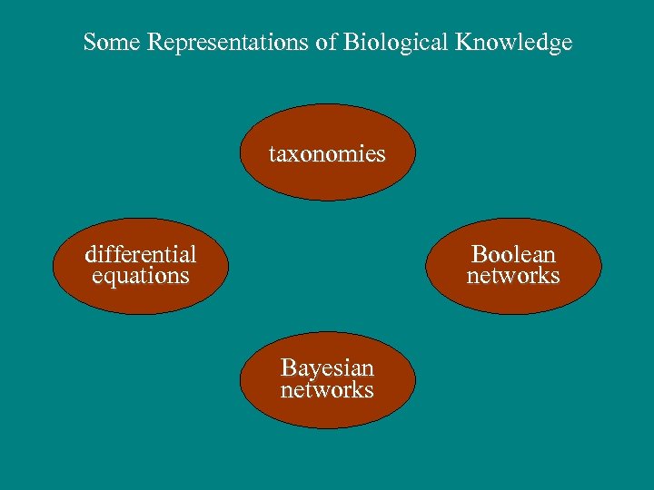 Some Representations of Biological Knowledge taxonomies differential equations Boolean networks Bayesian networks 