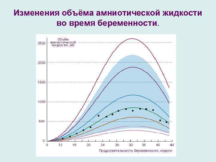 Индекс амниотической жидкости