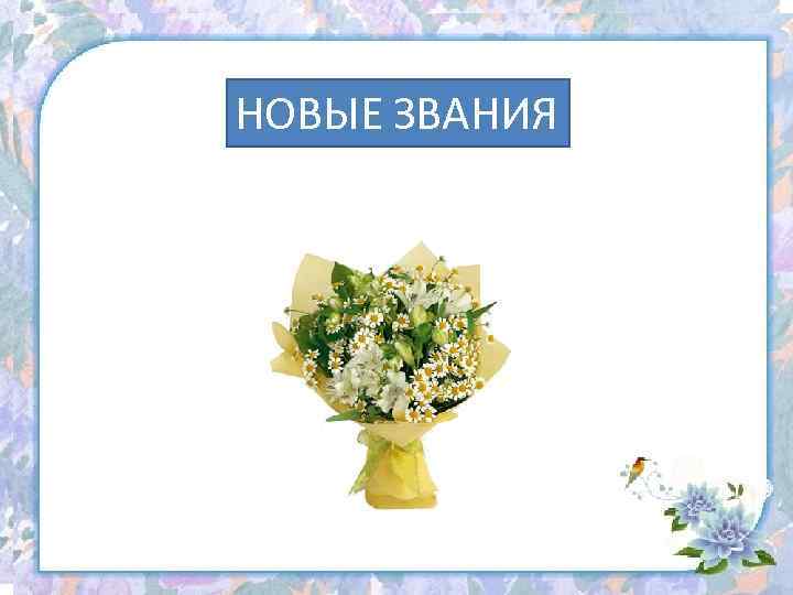 Номинация НОВЫЕ ЗВАНИЯ «Первая регистрация» 