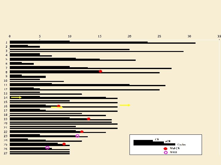 PCR Analysis Pt. #15 Pt. #40 Pt. #43 Pt. #59 pre pre post pre