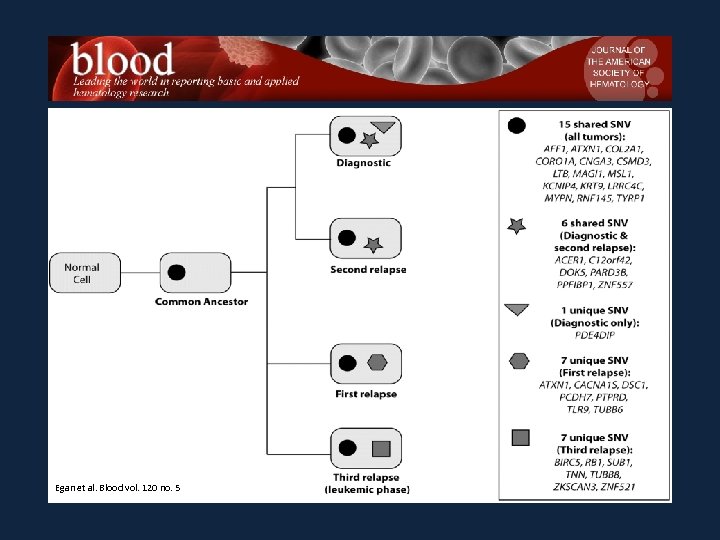 Egan et al. Blood vol. 120 no. 5 