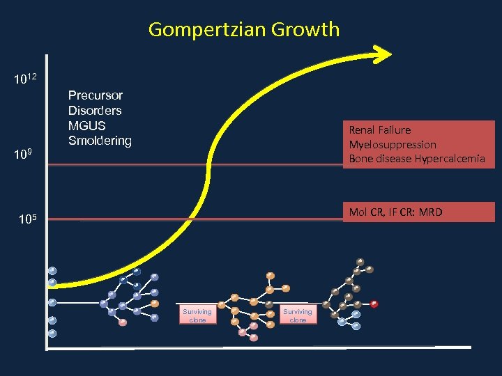 Gompertzian Growth 1012 109 Precursor Disorders MGUS Smoldering Renal Failure Myelosuppression Bone disease Hypercalcemia