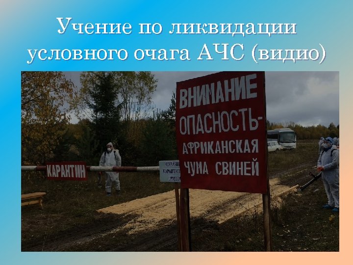 Учение по ликвидации условного очага АЧС (видио) 