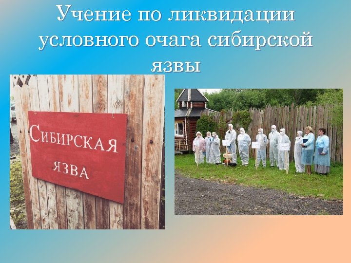 Учение по ликвидации условного очага сибирской язвы 