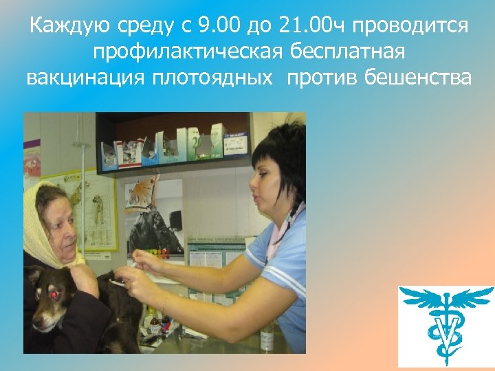 Каждую среду с 9. 00 до 21. 00 ч проводится профилактическая бесплатная вакцинация плотоядных