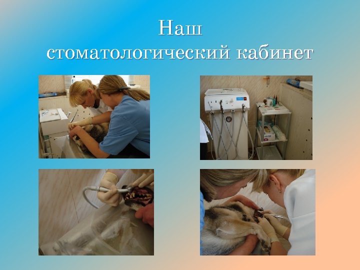 Наш стоматологический кабинет 