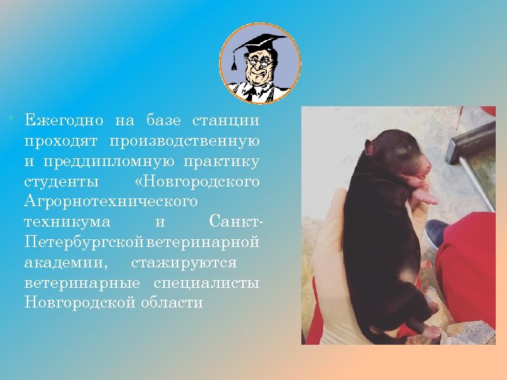  • Ежегодно на базе станции проходят производственную и преддипломную практику студенты «Новгородского Агрорнотехнического