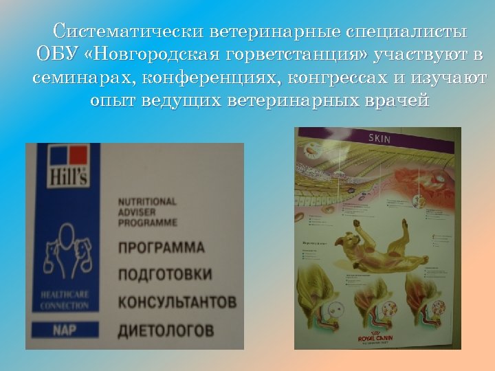 Систематически ветеринарные специалисты ОБУ «Новгородская горветстанция» участвуют в семинарах, конференциях, конгрессах и изучают опыт