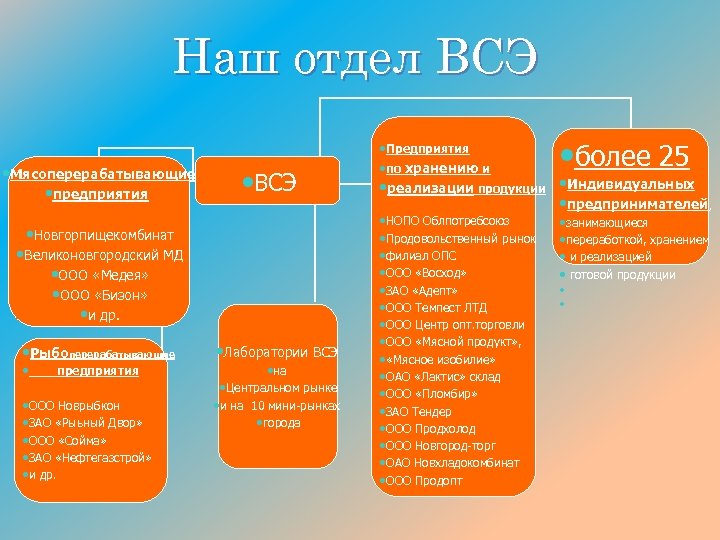 Наш отдел ВСЭ • Мясоперерабатывающие • предприятия • ВСЭ • Новгорпищекомбинат • Великоновгородский МД