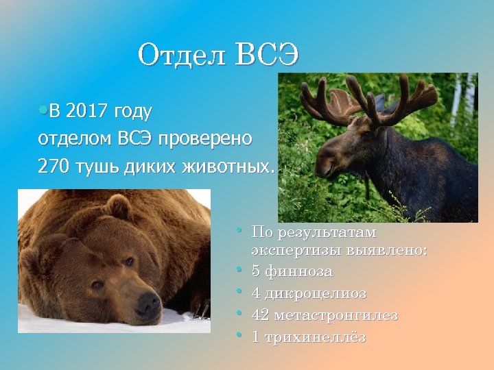 Отдел ВСЭ • В 2017 году отделом ВСЭ проверено 270 тушь диких животных. •