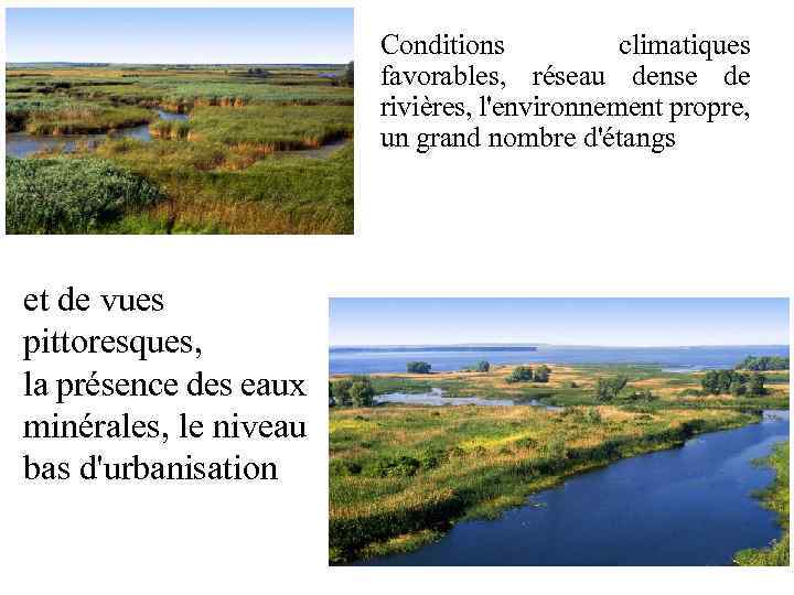 Conditions climatiques favorables, réseau dense de rivières, l'environnement propre, un grand nombre d'étangs et