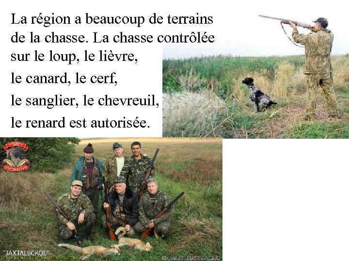 La région a beaucoup de terrains de la chasse. La chasse contrôlée sur le