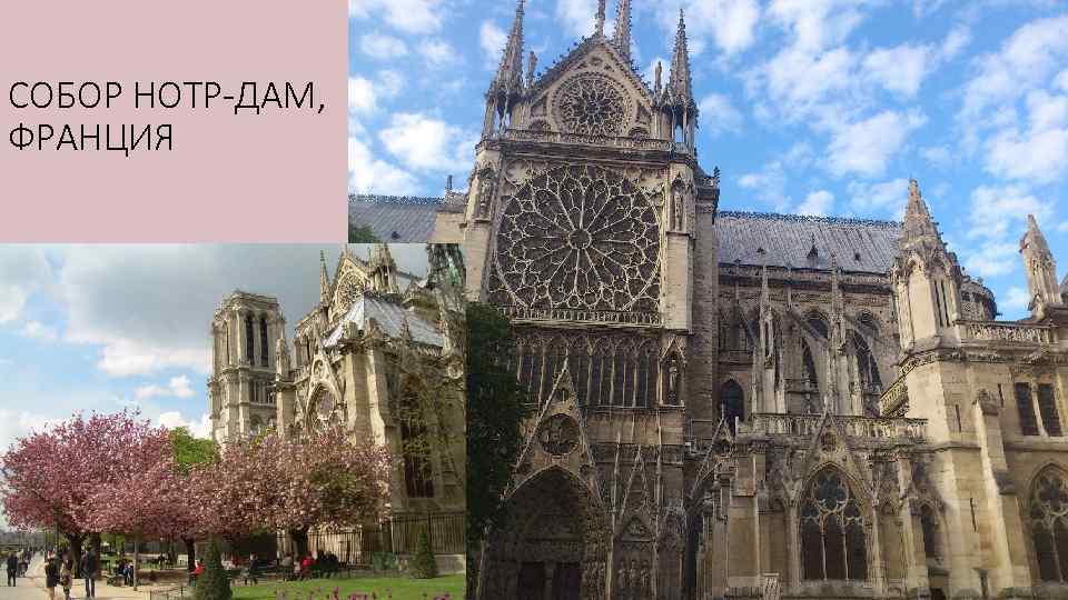 СОБОР НОТР-ДАМ, ФРАНЦИЯ 