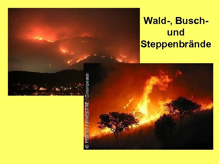 Wald-, Buschund Steppenbrände 