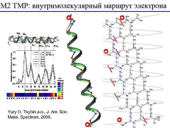 M 2 TMP: внутримолекулярный маршрут электрона His Gly Ser Val Yury O. Tsybin a.