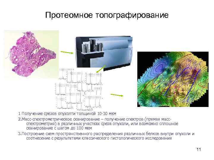 Протеомное топографирование 1 Получение срезов опухолти толщиной 10 -30 мкм 2. Масс-спектрометрическое сканирование –