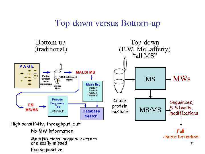 Top-down versus Bottom-up (traditional) Top-down (F. W. Mc. Lafferty) “all MS” MS Crude protein