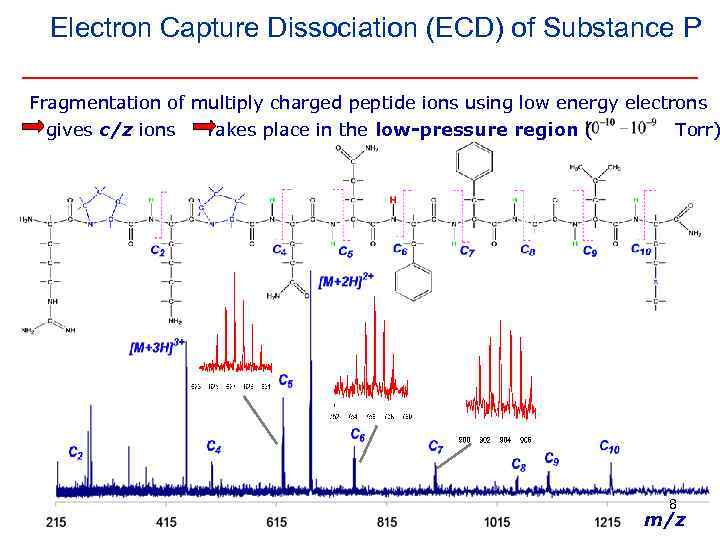 Electron Capture Dissociation (ECD) of Substance P Fragmentation of multiply charged peptide ions using