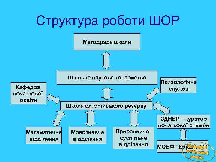 Структура роботи ШОР Методрада школи Шкільне наукове товариство Кафедра початкової освіти Психологічна служба Школа