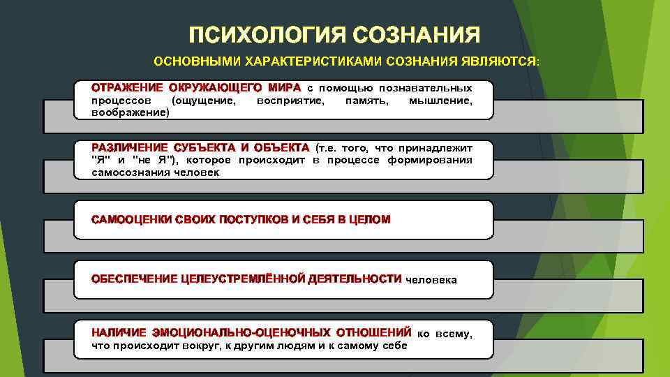 1 образец личность характер сознание психика значение отражение действие