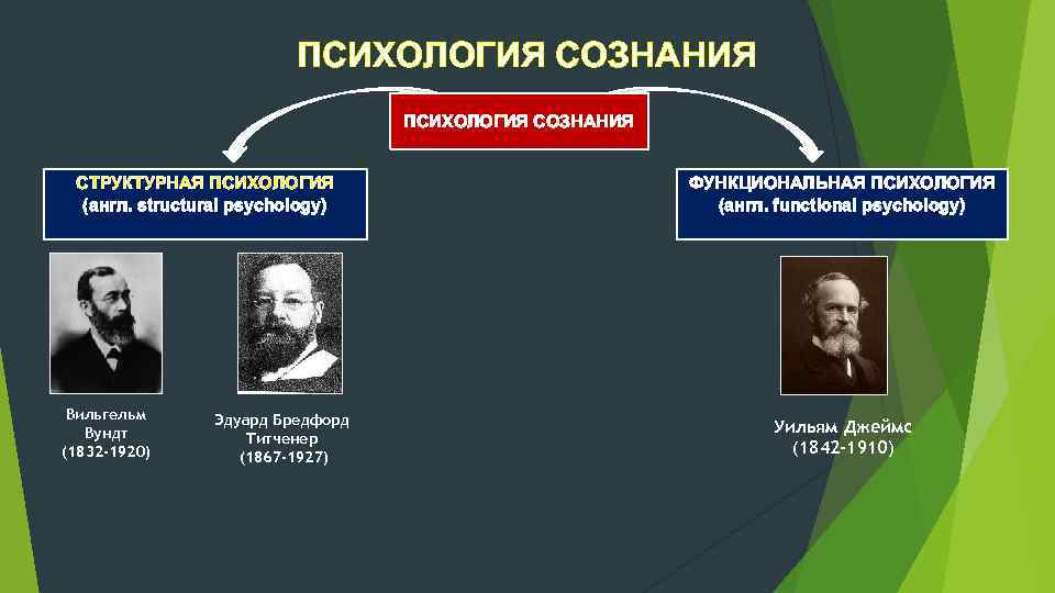 Теория психики и сознания. Структурная психология сознания Вундт.