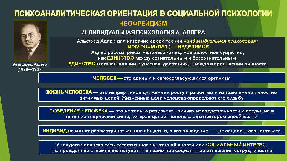 Этапы аналитической психологии. Теории психоанализа Альфред Адлер. Теория личности Адлера. Психоаналитическая ориентация в социальной психологии. Теория Адлера в психологии.