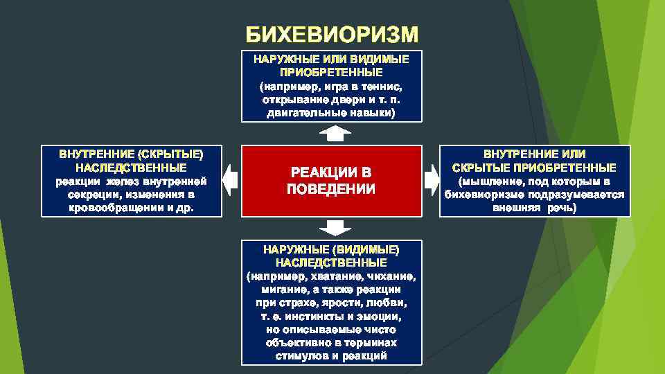 БИХЕВИОРИЗМ НАРУЖНЫЕ ИЛИ ВИДИМЫЕ ПРИОБРЕТЕННЫЕ (например, игра в теннис, открывание двери и т. п.