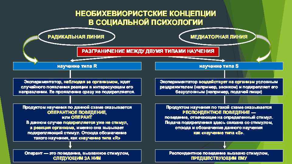 НЕОБИХЕВИОРИСТСКИЕ КОНЦЕПЦИИ В СОЦИАЛЬНОЙ ПСИХОЛОГИИ РАДИКАЛЬНАЯ ЛИНИЯ МЕДИАТОРНАЯ ЛИНИЯ РАЗГРАНИЧЕНИЕ МЕЖДУ ДВУМЯ ТИПАМИ НАУЧЕНИЯ