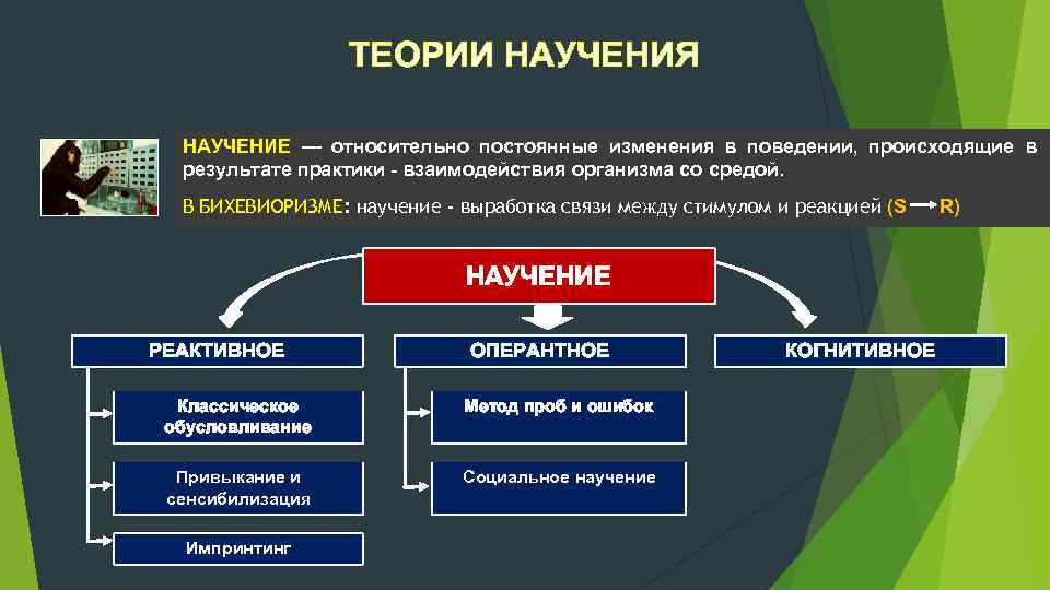 ТЕОРИИ НАУЧЕНИЯ НАУЧЕНИЕ — относительно постоянные изменения в поведении, происходящие в результате практики взаимодействия