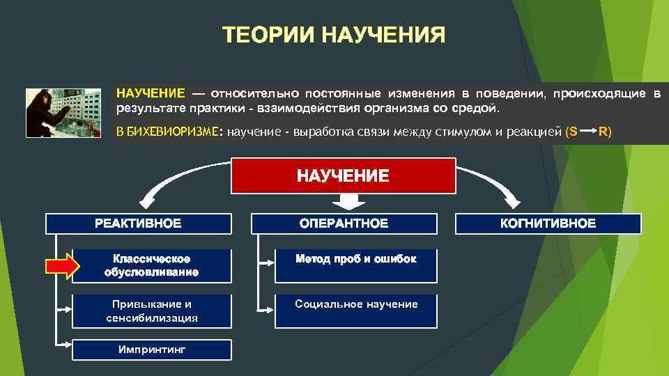 ТЕОРИИ НАУЧЕНИЯ НАУЧЕНИЕ — относительно постоянные изменения в поведении, происходящие в результате практики взаимодействия