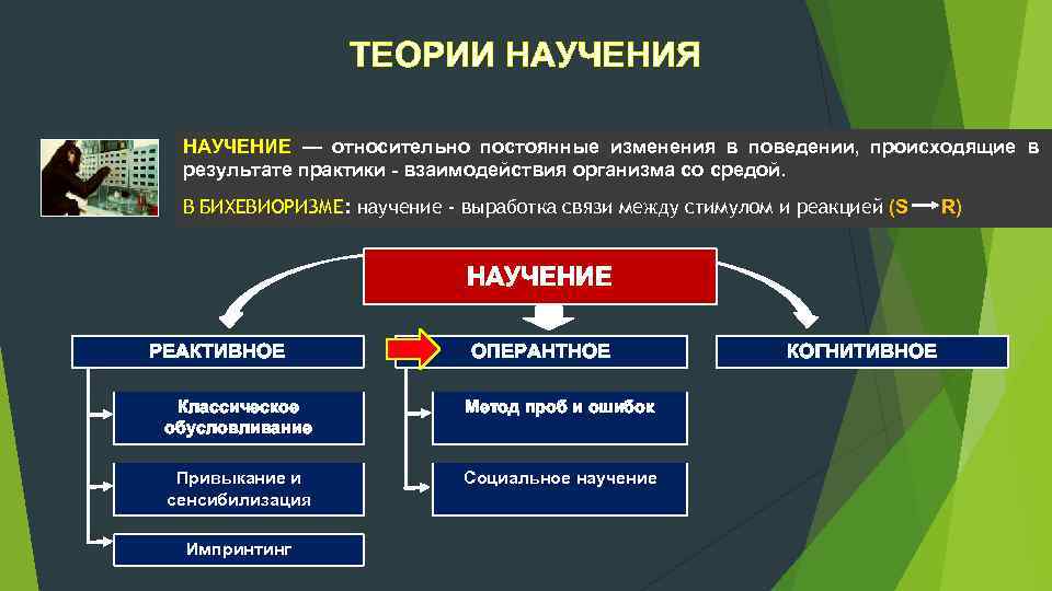 ТЕОРИИ НАУЧЕНИЯ НАУЧЕНИЕ — относительно постоянные изменения в поведении, происходящие в результате практики взаимодействия