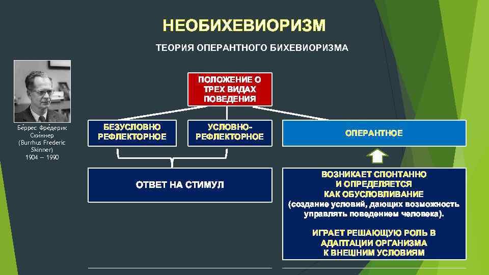 НЕОБИХЕВИОРИЗМ ТЕОРИЯ ОПЕРАНТНОГО БИХЕВИОРИЗМА ПОЛОЖЕНИЕ О ТРЕХ ВИДАХ ПОВЕДЕНИЯ Бе ррес Фре дерик Ски