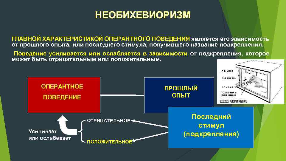 НЕОБИХЕВИОРИЗМ ГЛАВНОЙ ХАРАКТЕРИСТИКОЙ ОПЕРАНТНОГО ПОВЕДЕНИЯ является его зависимость от прошлого опыта, или последнего стимула,