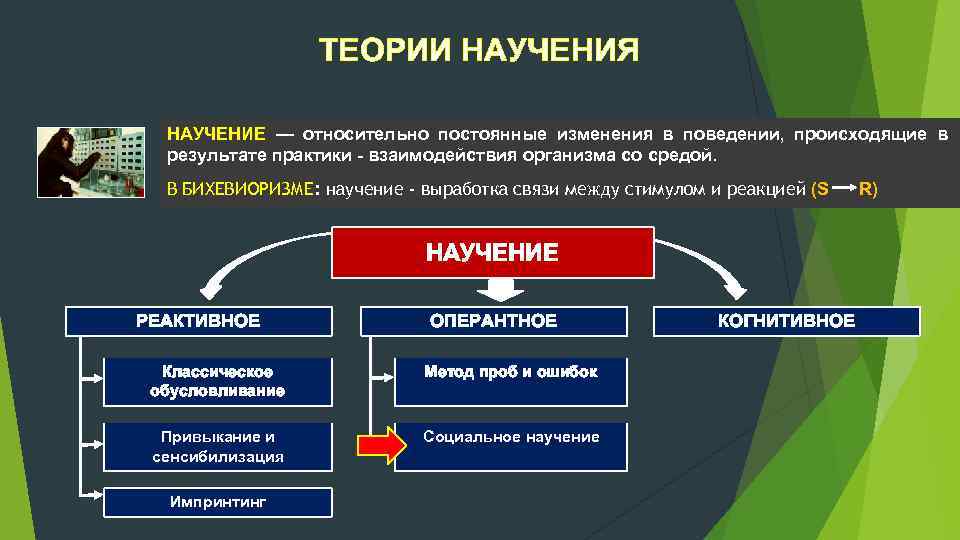 ТЕОРИИ НАУЧЕНИЯ НАУЧЕНИЕ — относительно постоянные изменения в поведении, происходящие в результате практики взаимодействия