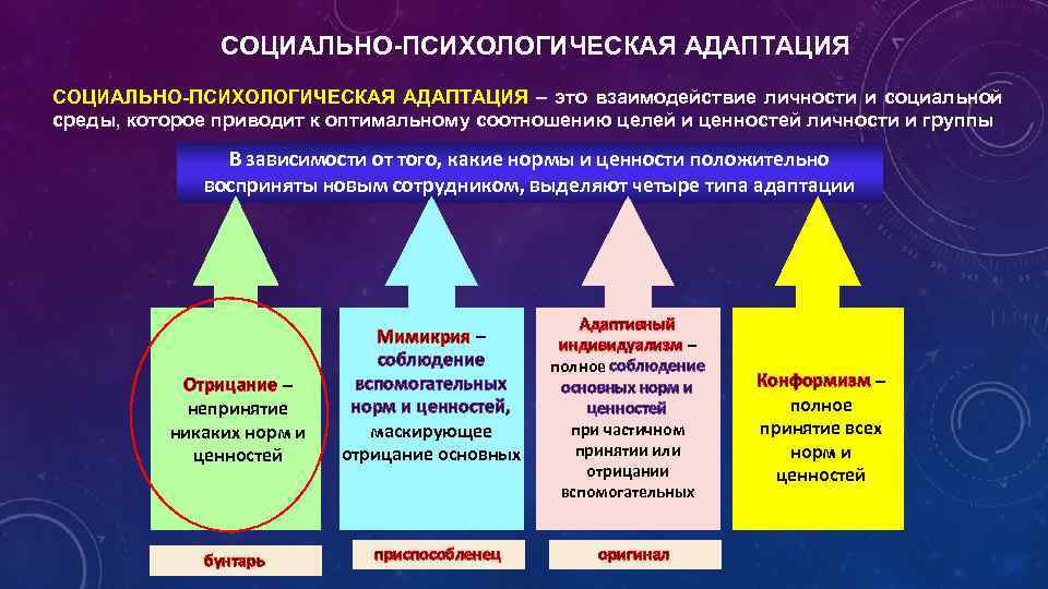 Индивидуальный проект концепция личности