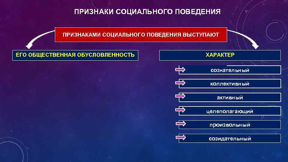 Признаки поведения. Признаки социального поведения. Социально поведенческие признаки. Критерии поведения человека.