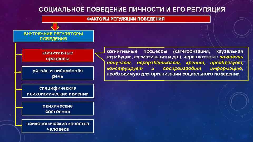 Поведение социальных систем. Социальное поведение и его факторы. Социальные регуляторы поведения. Регуляторы социального поведения личности. Социальное поведение личности и его регуляция.